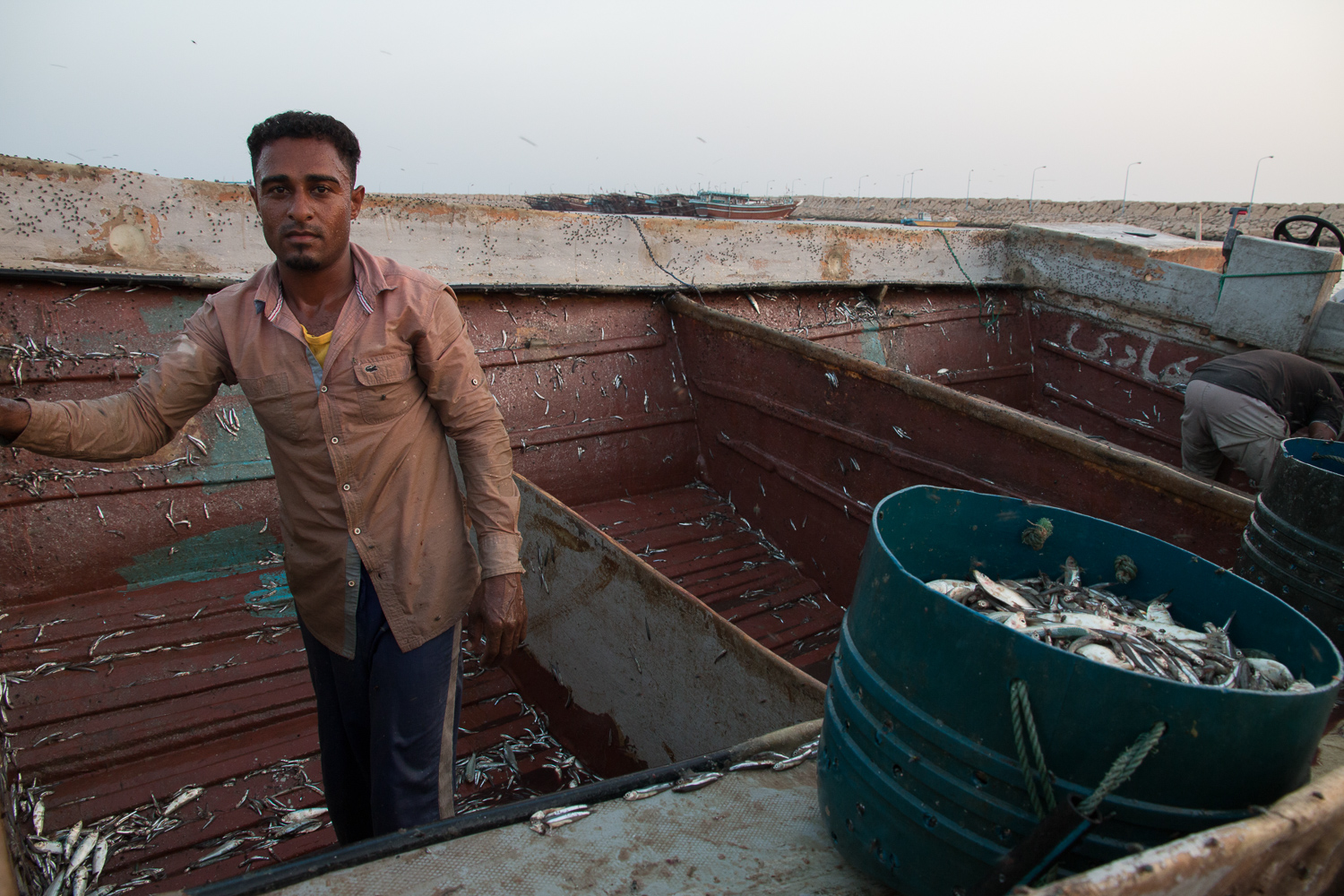 Un jeune homme se tient dans la cale à poisson d’un bateau, dont le plancher est jonché de petits poissons argentés, à côté de bacs bleus empilés, celui du dessus rempli de poissons à ras bord ; derrière lui, un autre homme se penche, et une digue bordée de lampadaires barre l’arrière-plan.
