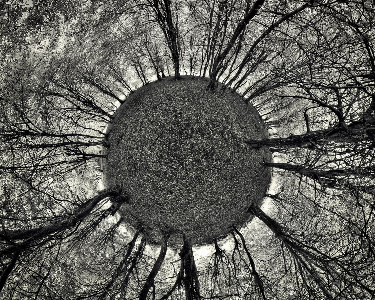 Sublimity — photograph by Mohammadreza Domiri Ganji